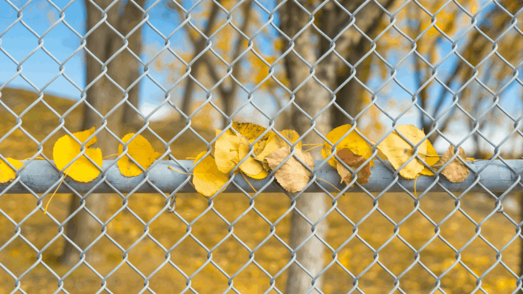 Chain-Link Fencing
